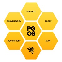 PGN, LLC - Profitable Growth Operating System logo - Similar company to Operating System