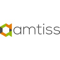 amtiss logo - Similar company to Atz It Services Ltd