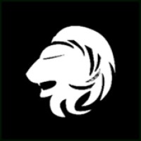 Leopolis Group logo - Similar company to Dod Solution
