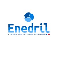 Enedril (ex Mustang Services) logo - Similar company to Iken Construct Management S.R.L.