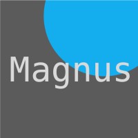 Magnus logo - Similar company to Modulus : Light/Space/Experience :Architecture