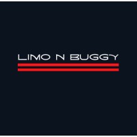 Limo n Buggy logo - Similar company to Symagine Solutions