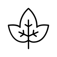 Ivy Distribution Ltd logo - Similar company to Tribe Distribution Dmcc - Dubai