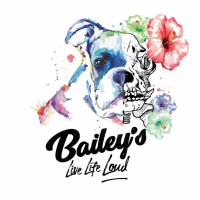 Bailey's Bedfordview logo - Similar company to Rawson Properties Bedfordview