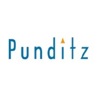 Punditz Rise Pvt Ltd logo - Similar company to Techenable Limited