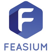 FEASIUM logo - Similar company to Jaad Consulting Private Limited