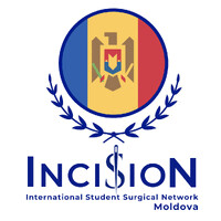 InciSioN Moldova logo - Similar company to Walk92 Uk