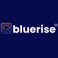 Bluerise Holding Ent. Corp. logo - Similar company to Mindflows