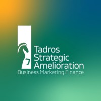 Strategic Amelioration logo - Similar company to Crikick