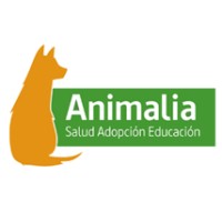 Animalia UC logo - Similar company to Fundación Abogados Por Los Animales