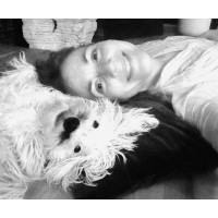 The Modern Meditator logo - Similar company to Roza Creative