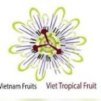VIET TROPICAL FRUIT CO., LTD logo - Similar company to Bananen + Frucht Ag