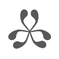 Terminal Junction logo - Similar company to For Sure Consulting & Co.