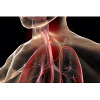 jz logo - Similar company to Jz