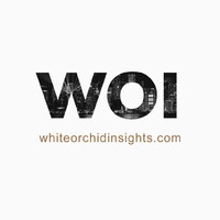 WOI - White Orchid Insights logo - Similar company to Grayscale Design & Development