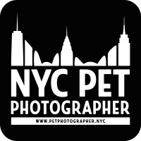 NYC Pet Photographer logo - Similar company to Petopia
