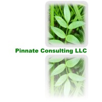 Pinnate Consulting LLC logo - Similar company to Tlbs Corporation