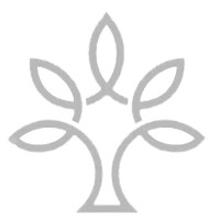 Areté Línguas E Intercâmbio