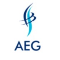 Alliance Energy Group Ltd logo - Similar company to Otimo Energy Sdn Bhd