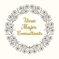 UrsaMajor Consultants logo - Similar company to Early Hustle Ventures