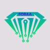 Foraa logo - Similar company to Careercatch Recruitment