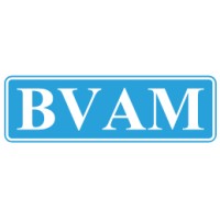 Business Valuers Association Malaysia (BVAM) logo - Similar company to Spring Galaxy