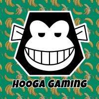 Hooga Gaming logo - Similar company to Chasm
