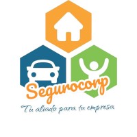 Seguro Corp logo - Similar company to Bogutech
