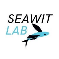 Seawitlab logo - Similar company to Advanced Wing Systems