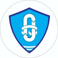 Nuray Consulting LLC logo - Similar company to Abacus Audit