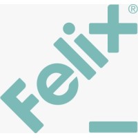 Felix Inc Limited logo - Similar company to Psyke