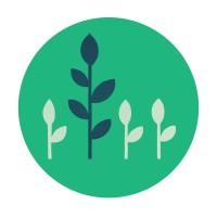 Desert Montessori School logo - Similar company to Luxe Apothetique
