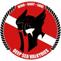 Deep Sea Valkyries, INC logo - Similar company to Outerbounded