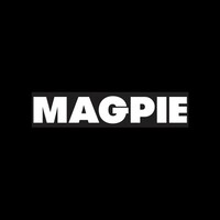 Magpie Model Agency logo - Similar company to Diamond Model Agency