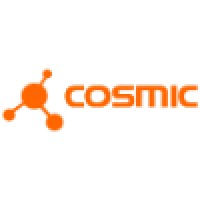 Cosmic Solutions S.A.S
