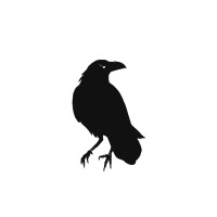 Raven Accounting (West Midlands) Limited logo - Similar company to Ruby Accounting & Bookkeeping Services
