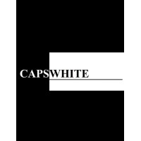 CapsWhite Information Technology pvt ltd logo - Similar company to Aceicon Information Technology