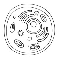 living.structur.es logo - Similar company to Get Lost