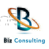 Biz Consulting Guyane logo - Similar company to Digital Square