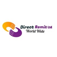Direct Remit logo - Similar company to The Level Consulting