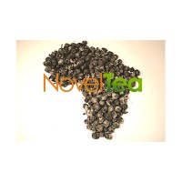 Novel-Tea LLC logo - Similar company to Coordinated Transportation Solutions, Inc.