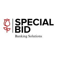Special Bid IT Solutions and Services logo - Similar company to Negocios De Carne Y Hueso