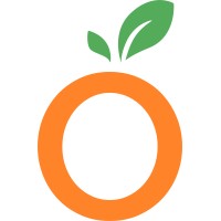 Orange Accountancy Services Ltd logo - Similar company to Dmb Accountancy
