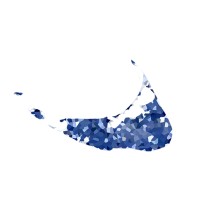 True Island Digital