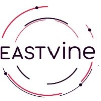 EASTvine Capital logo - Similar company to Magenable