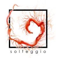 Solfeggio (Pty ) Ltd logo - Similar company to Syncwize