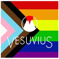 Vesuvius South America logo - Similar company to Vesuvius