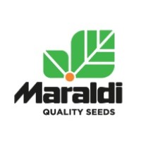 Maraldi Sementi Srl logo - Similar company to Anseme Spa