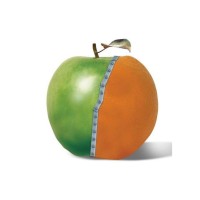 Re-thinking logo - Similar company to Cruise Compare