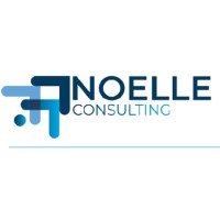 Noelle Consultancy logo - Similar company to Techexpress (Pty) Ltd